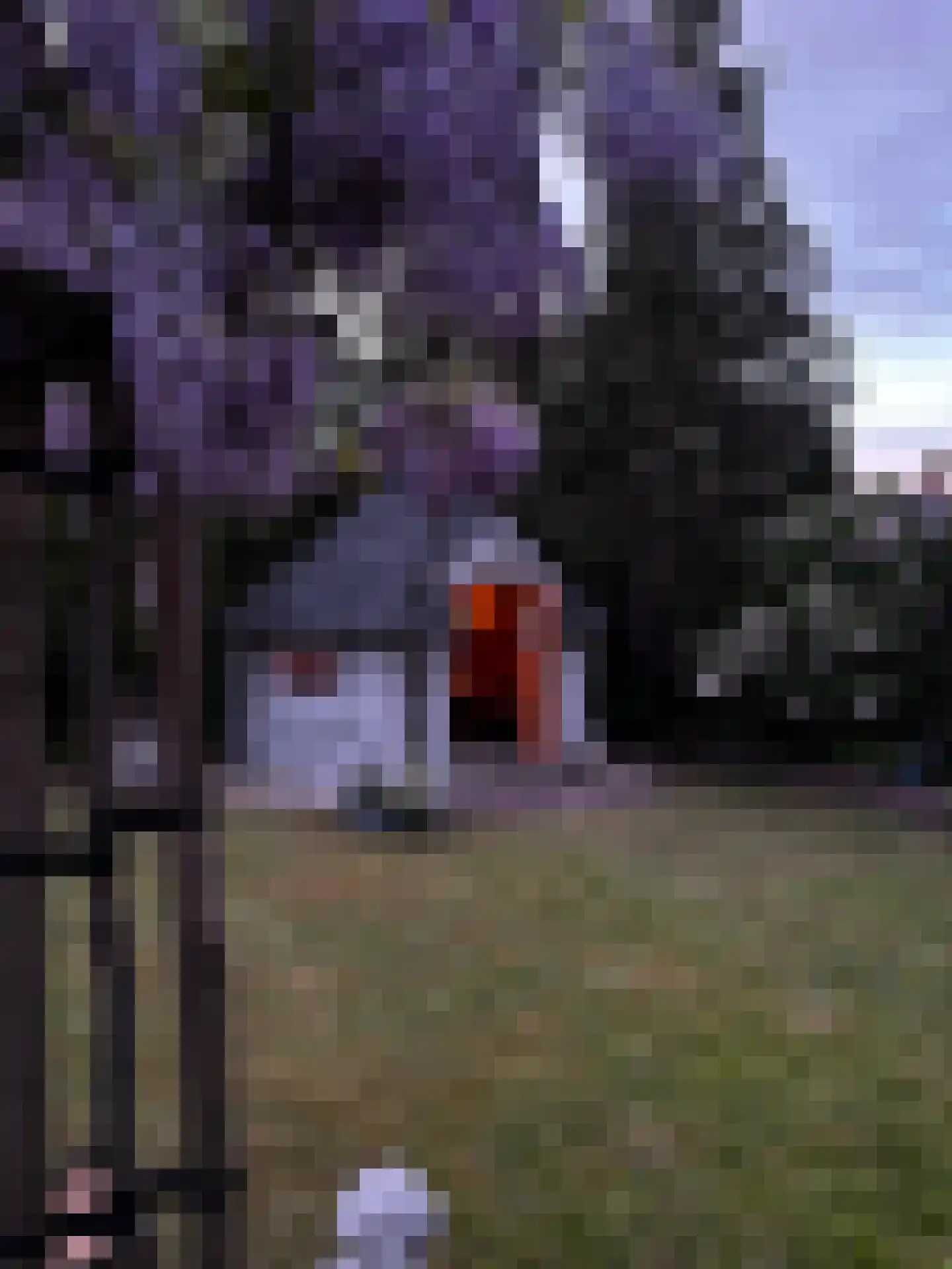 Heerenweg 253 Heiloo thumbnail 62