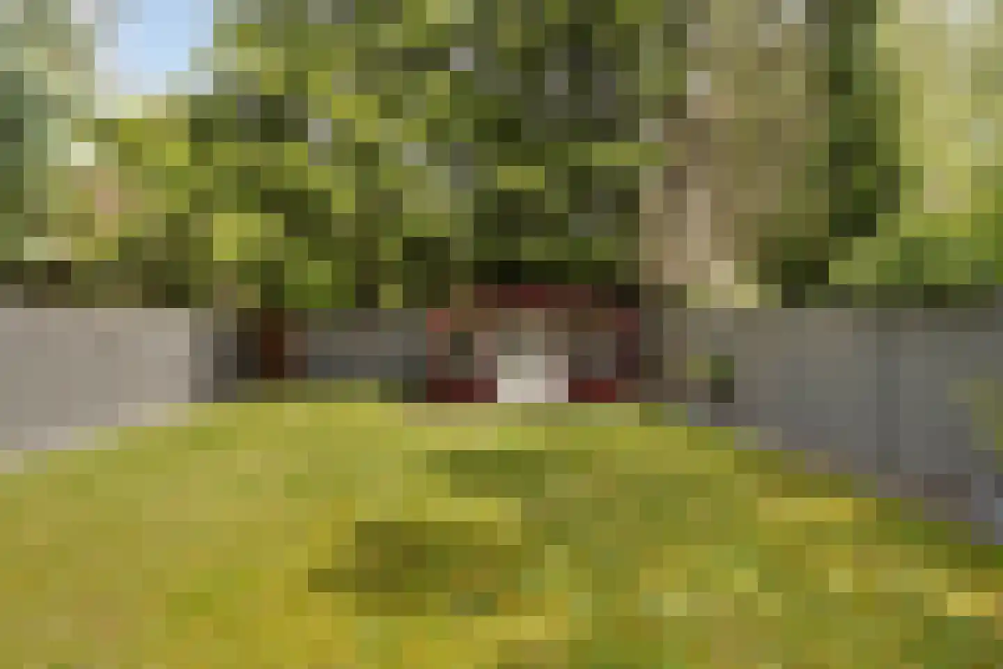 Heerenweg 260 Heerlen thumbnail 42