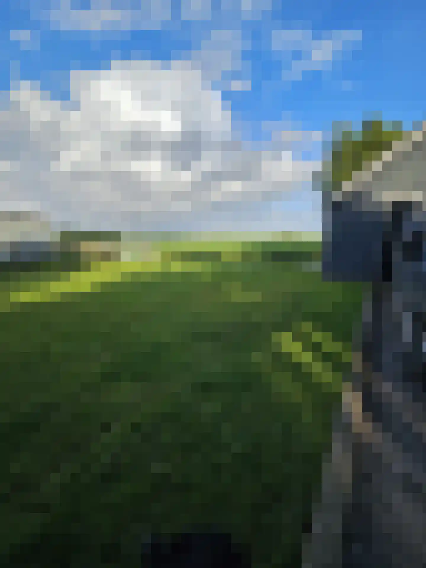Heerenweg 266 Barsingerhorn thumbnail 10