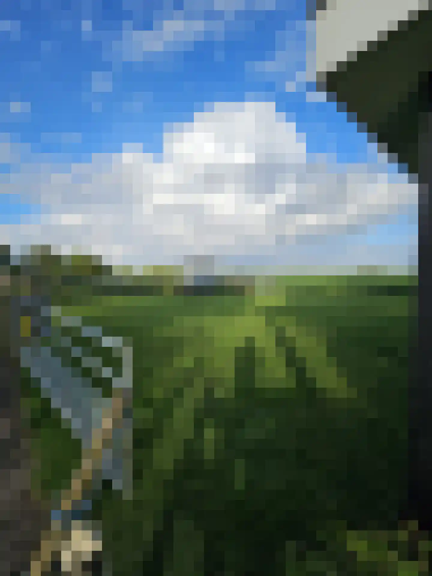Heerenweg 266 Barsingerhorn thumbnail 8