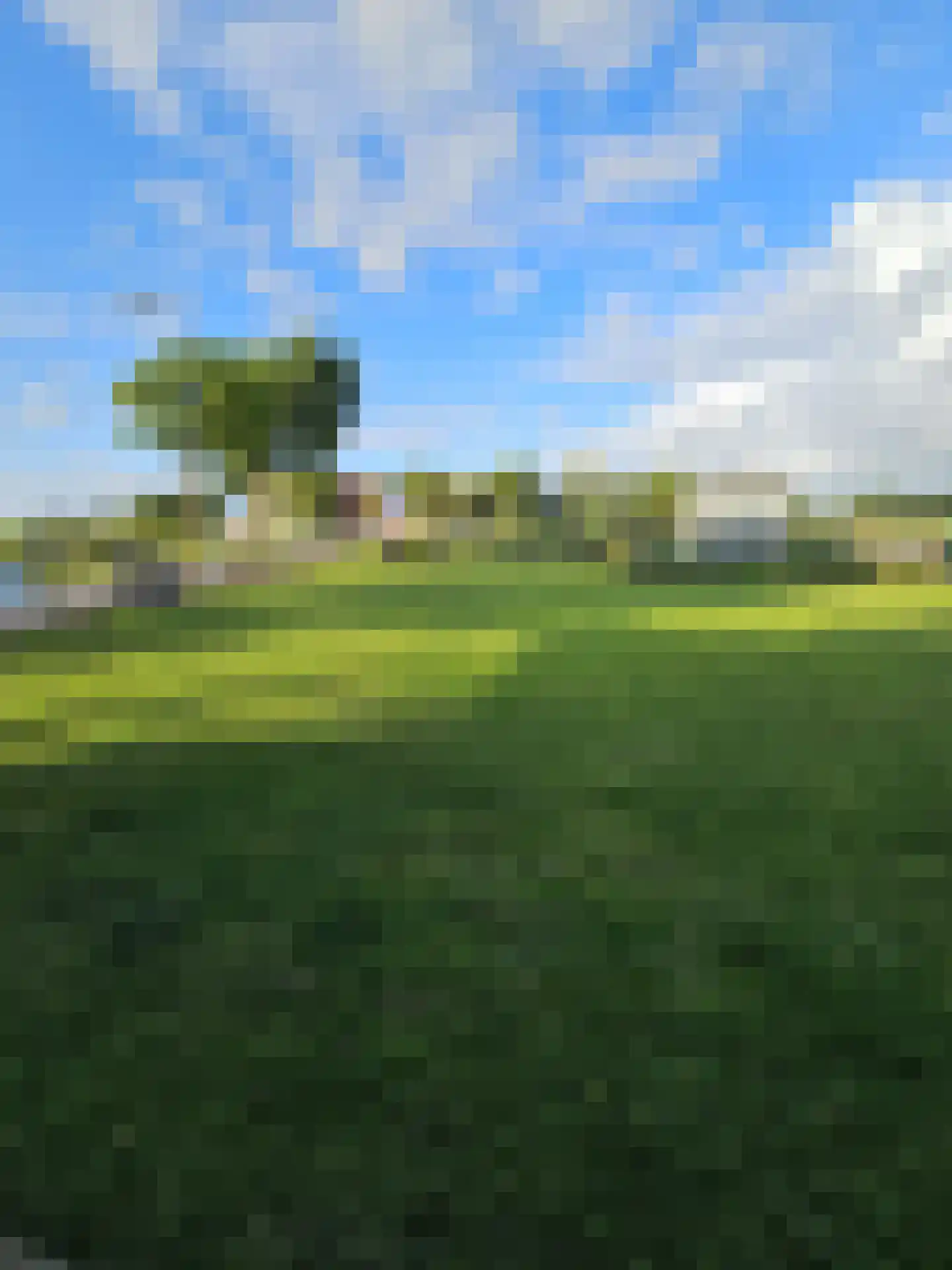 Heerenweg 266 Barsingerhorn thumbnail 9