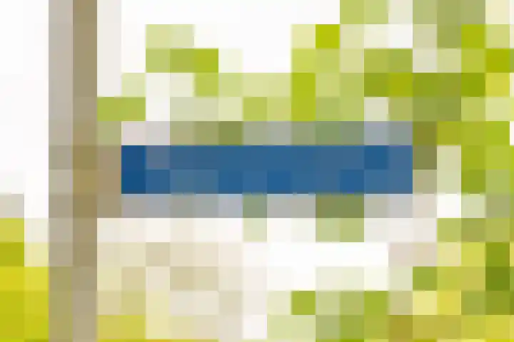 Heerenweg 3 Schinveld thumbnail 4