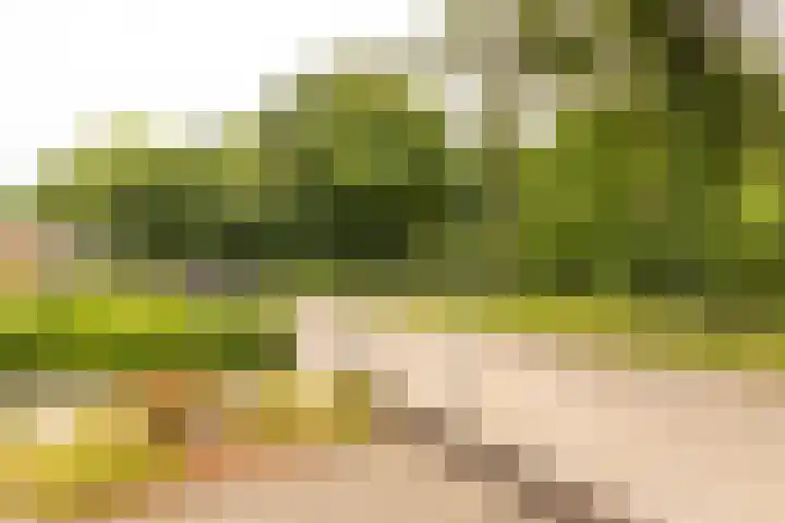 Heerenweg 3 Schinveld thumbnail 5