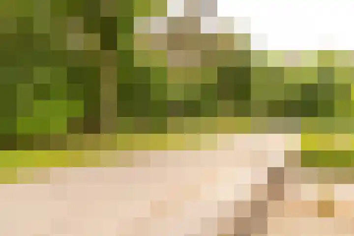 Heerenweg 3 Schinveld thumbnail 6