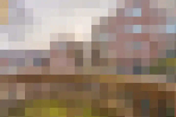 Heerenweg 5 Rijnsburg thumbnail 17