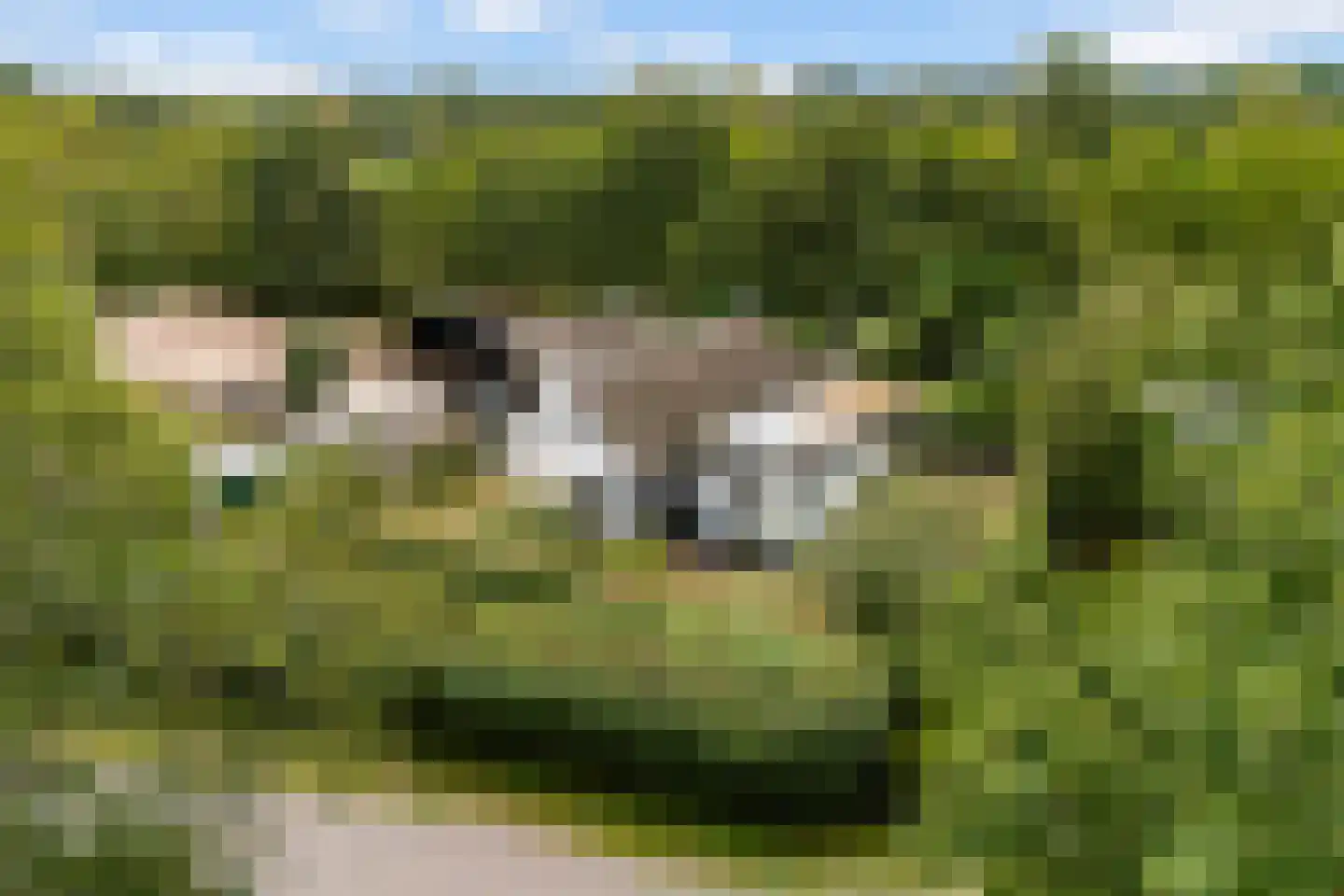 Heerenweg 52 Sumar thumbnail 10
