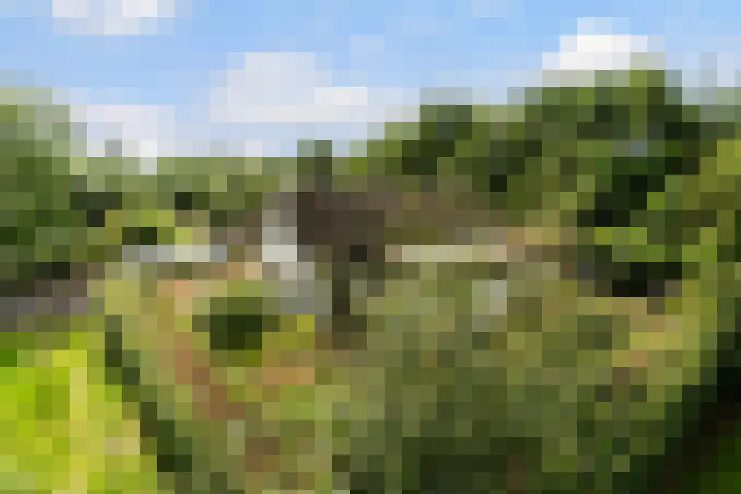 Heerenweg 52 Sumar thumbnail 11