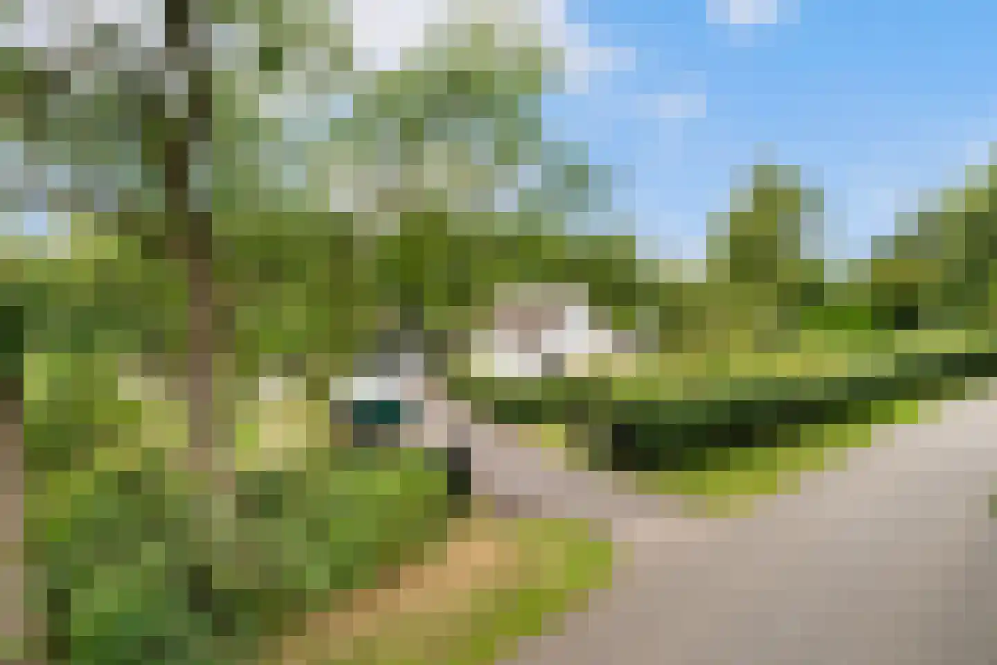 Heerenweg 52 Sumar thumbnail 12