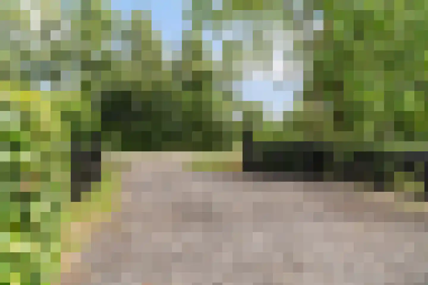 Heerenweg 52 Sumar thumbnail 14