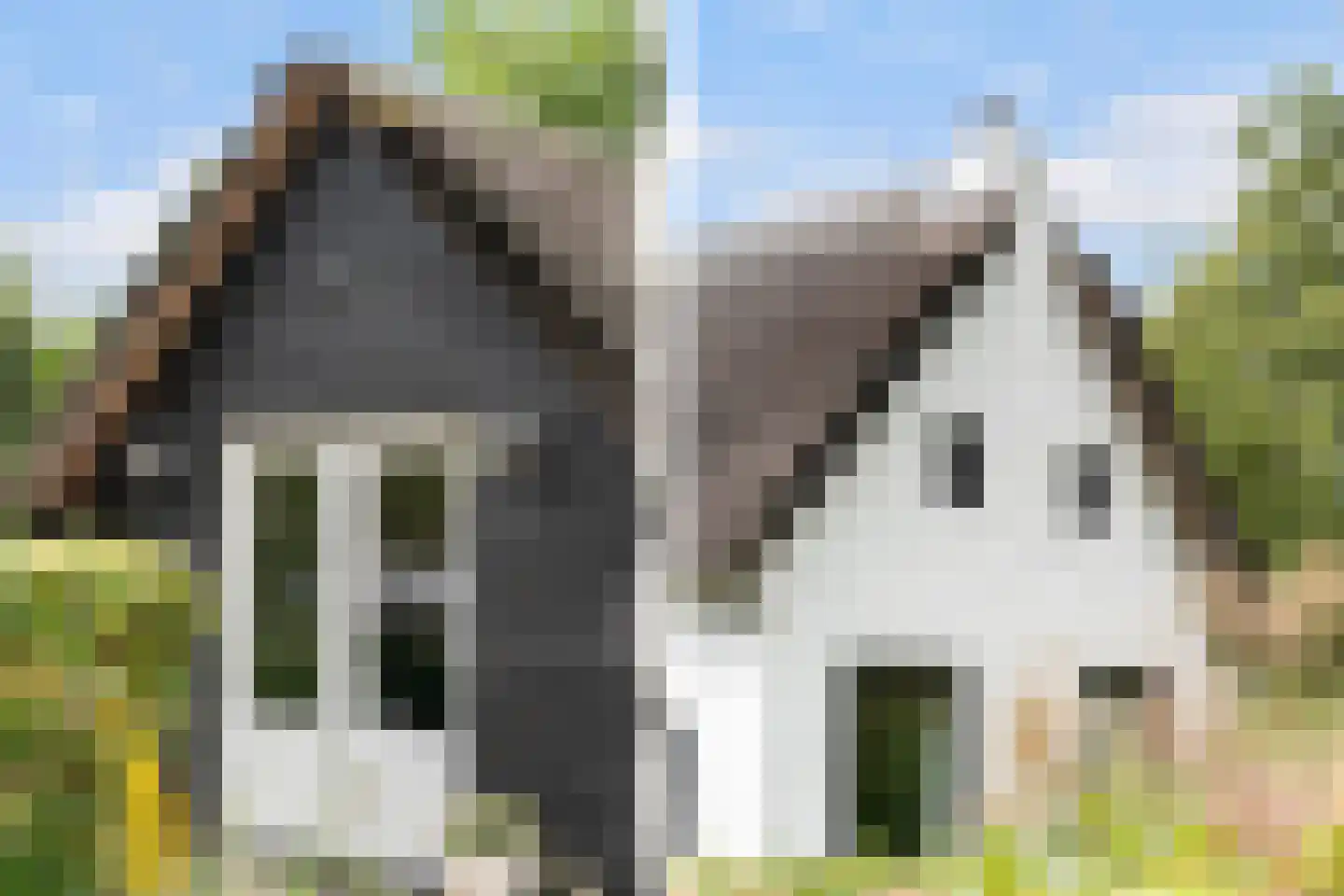 Heerenweg 52 Sumar thumbnail 16