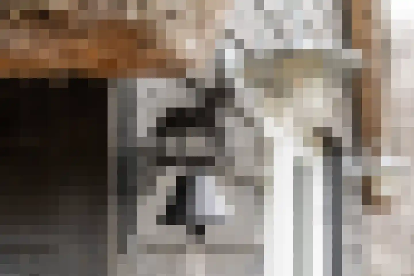 Heerenweg 52 Sumar thumbnail 18