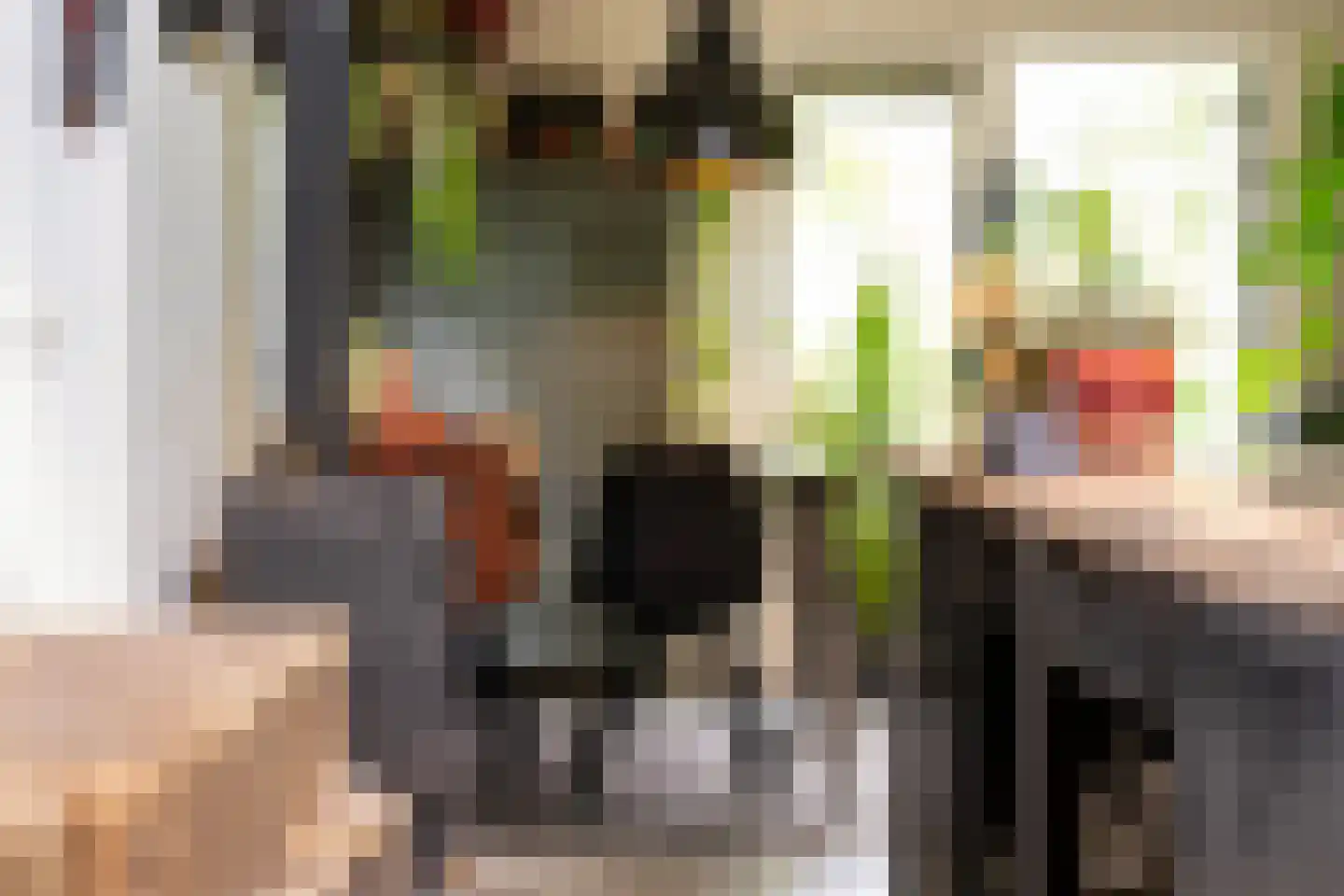 Heerenweg 52 Sumar thumbnail 28