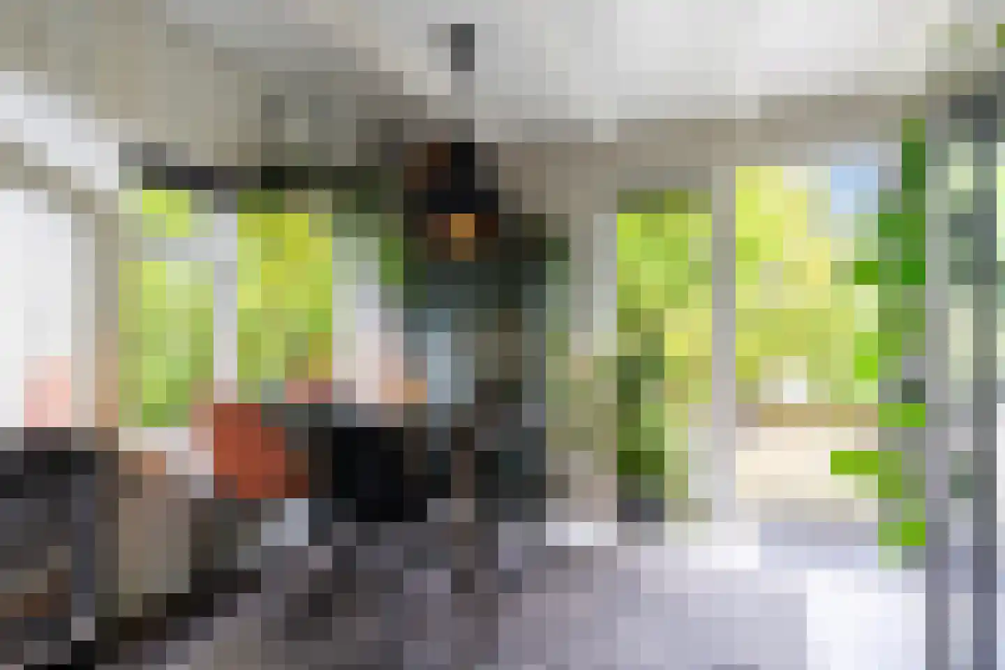 Heerenweg 52 Sumar thumbnail 29
