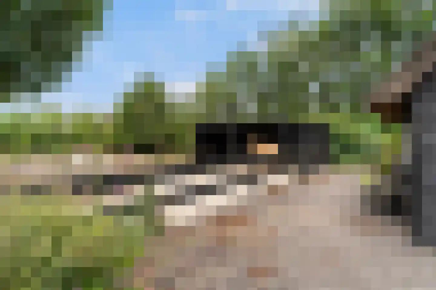 Heerenweg 52 Sumar thumbnail 46