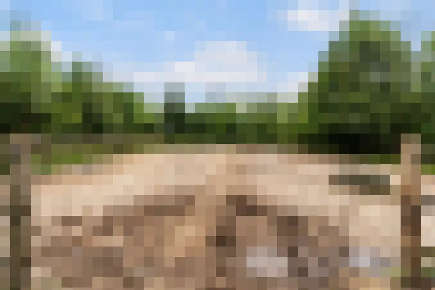 Heerenweg 52 Sumar thumbnail 48