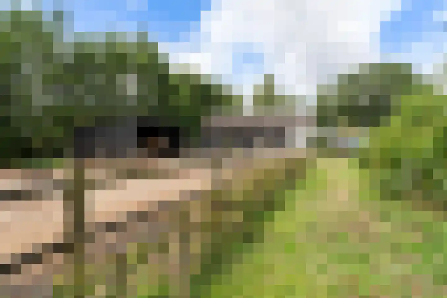 Heerenweg 52 Sumar thumbnail 50