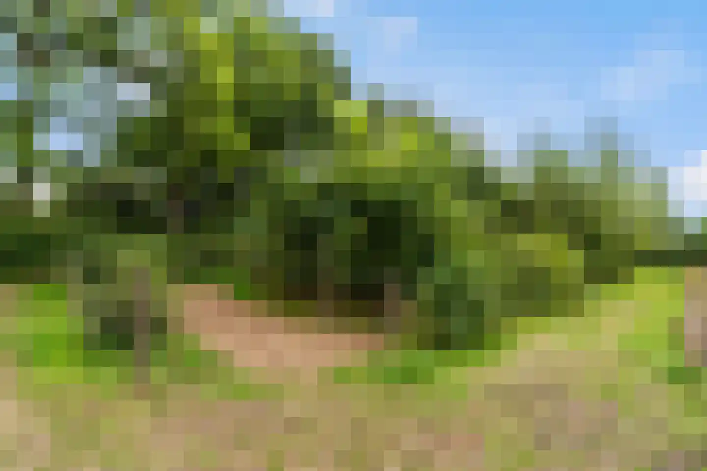 Heerenweg 52 Sumar thumbnail 51