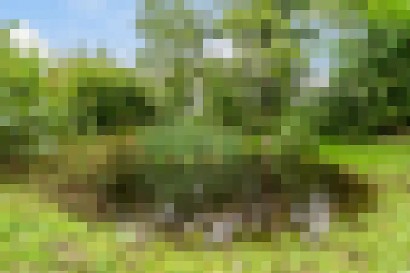 Heerenweg 52 Sumar thumbnail 52