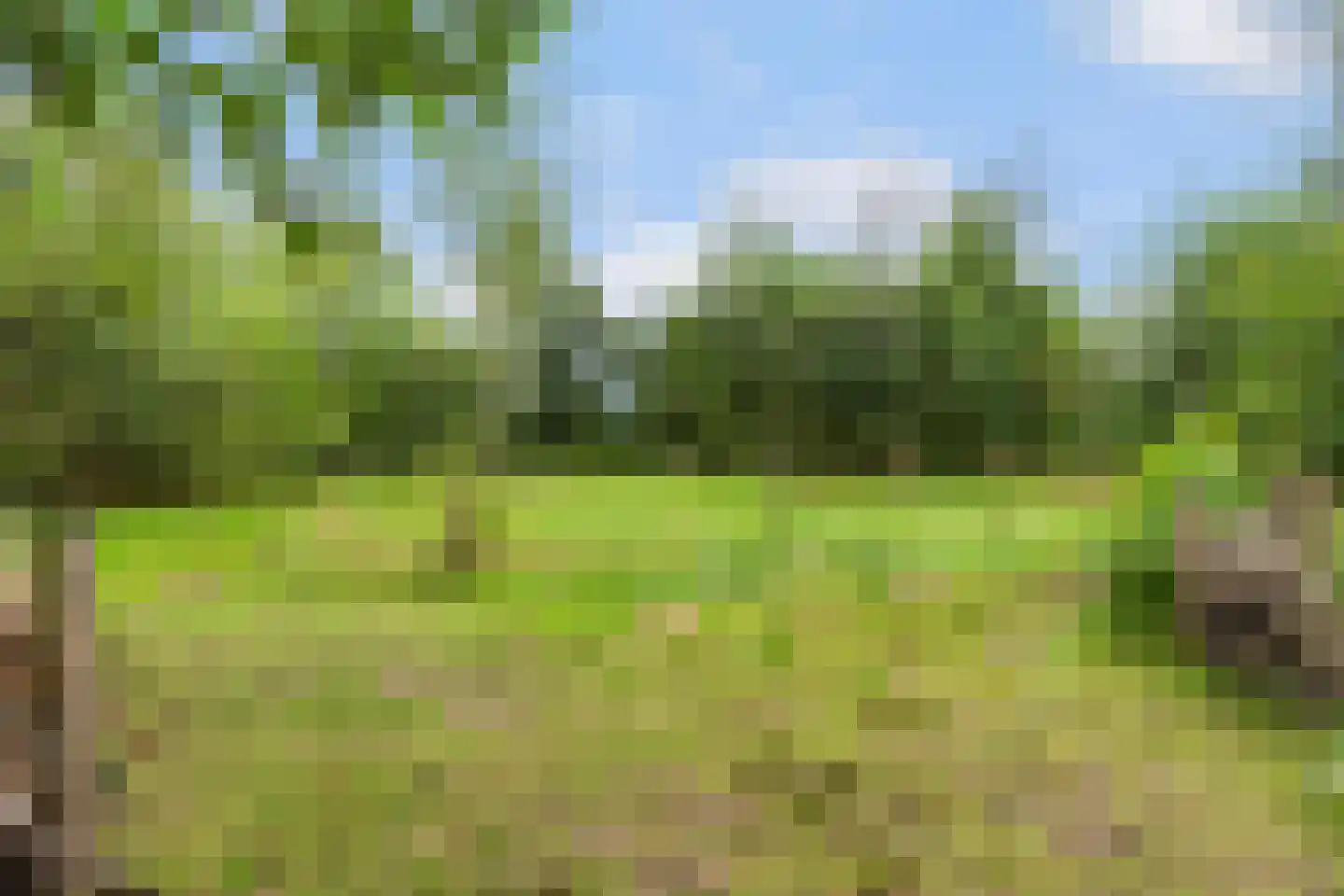 Heerenweg 52 Sumar thumbnail 53