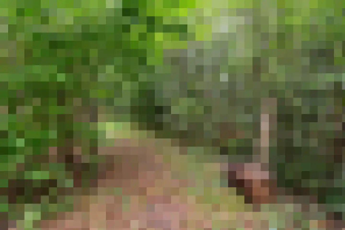 Heerenweg 52 Sumar thumbnail 54