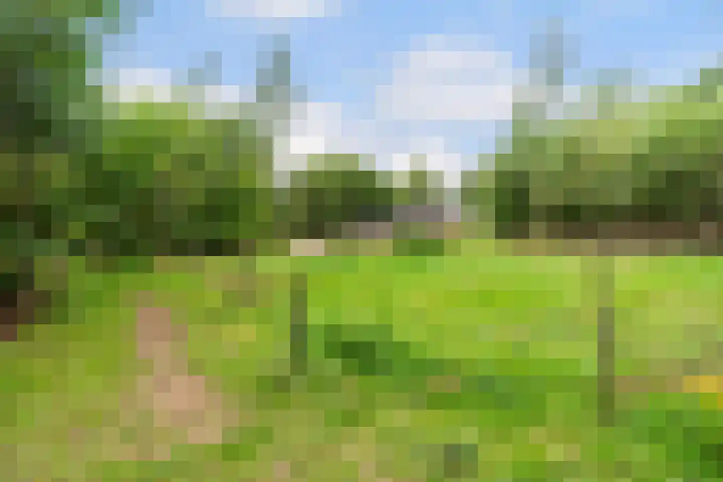 Heerenweg 52 Sumar thumbnail 55