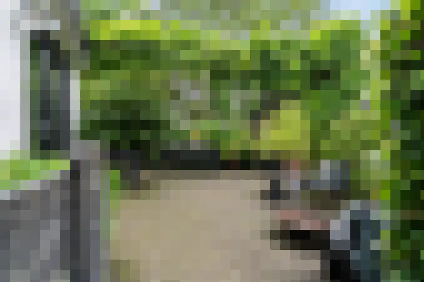Heerenweg 52 Sumar thumbnail 58