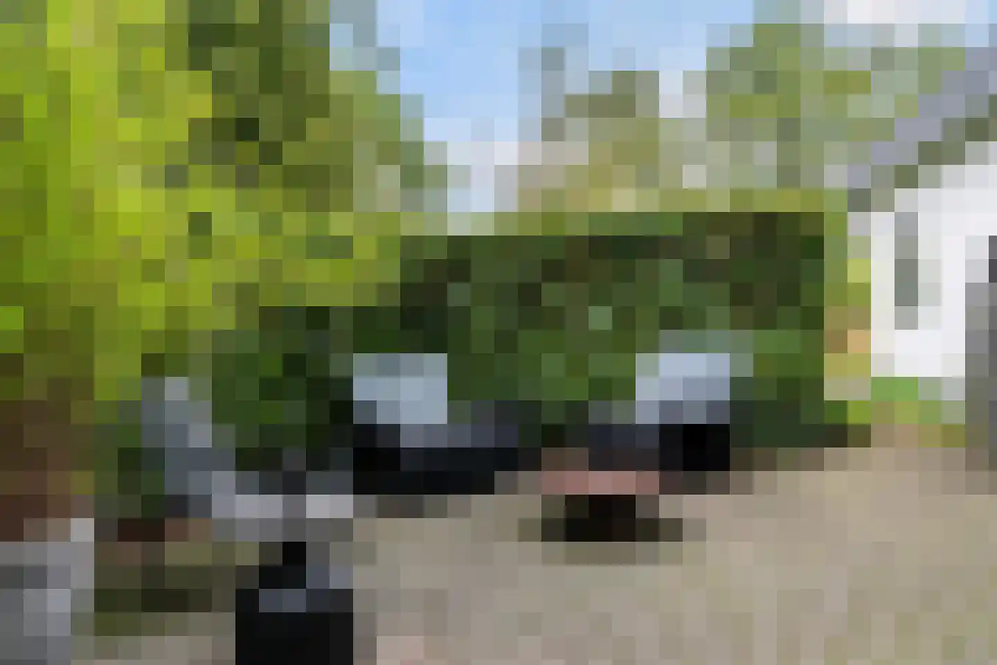 Heerenweg 52 Sumar thumbnail 59