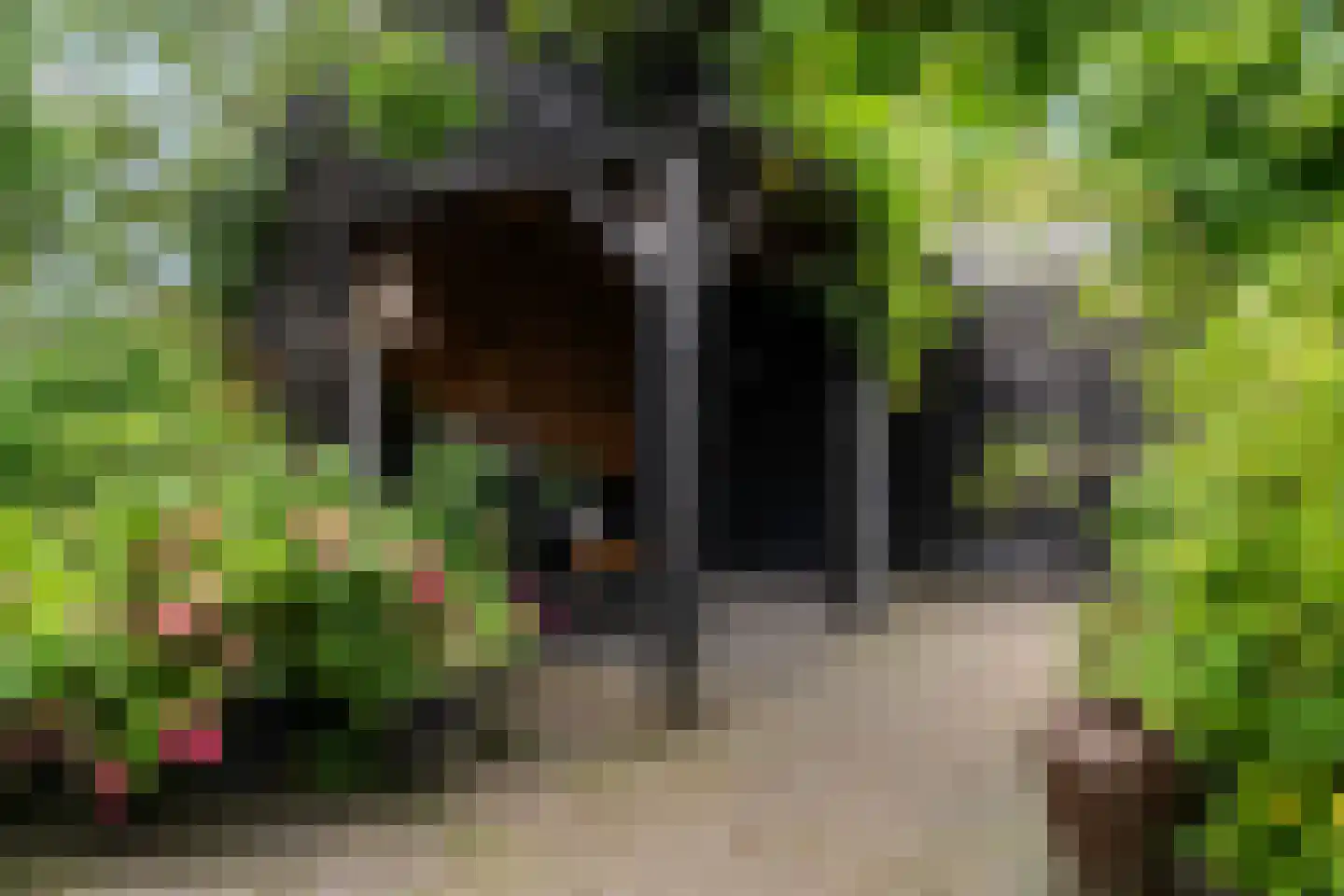 Heerenweg 52 Sumar thumbnail 61