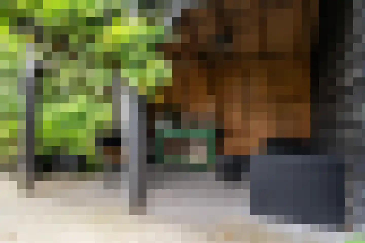 Heerenweg 52 Sumar thumbnail 62