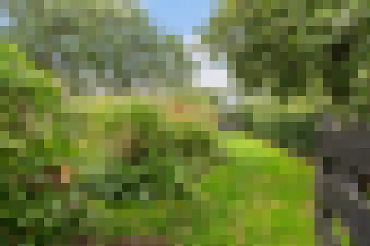 Heerenweg 52 Sumar thumbnail 63