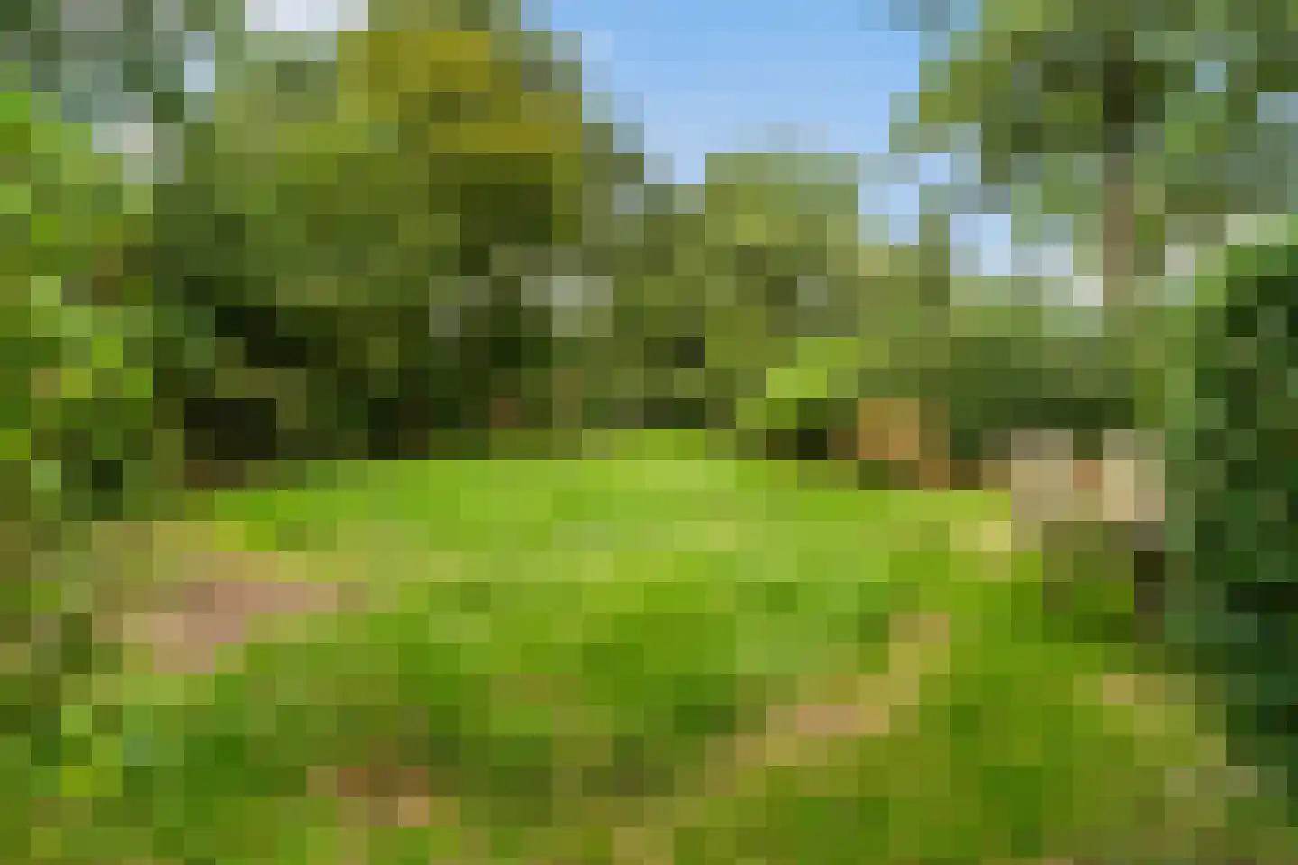 Heerenweg 52 Sumar thumbnail 64