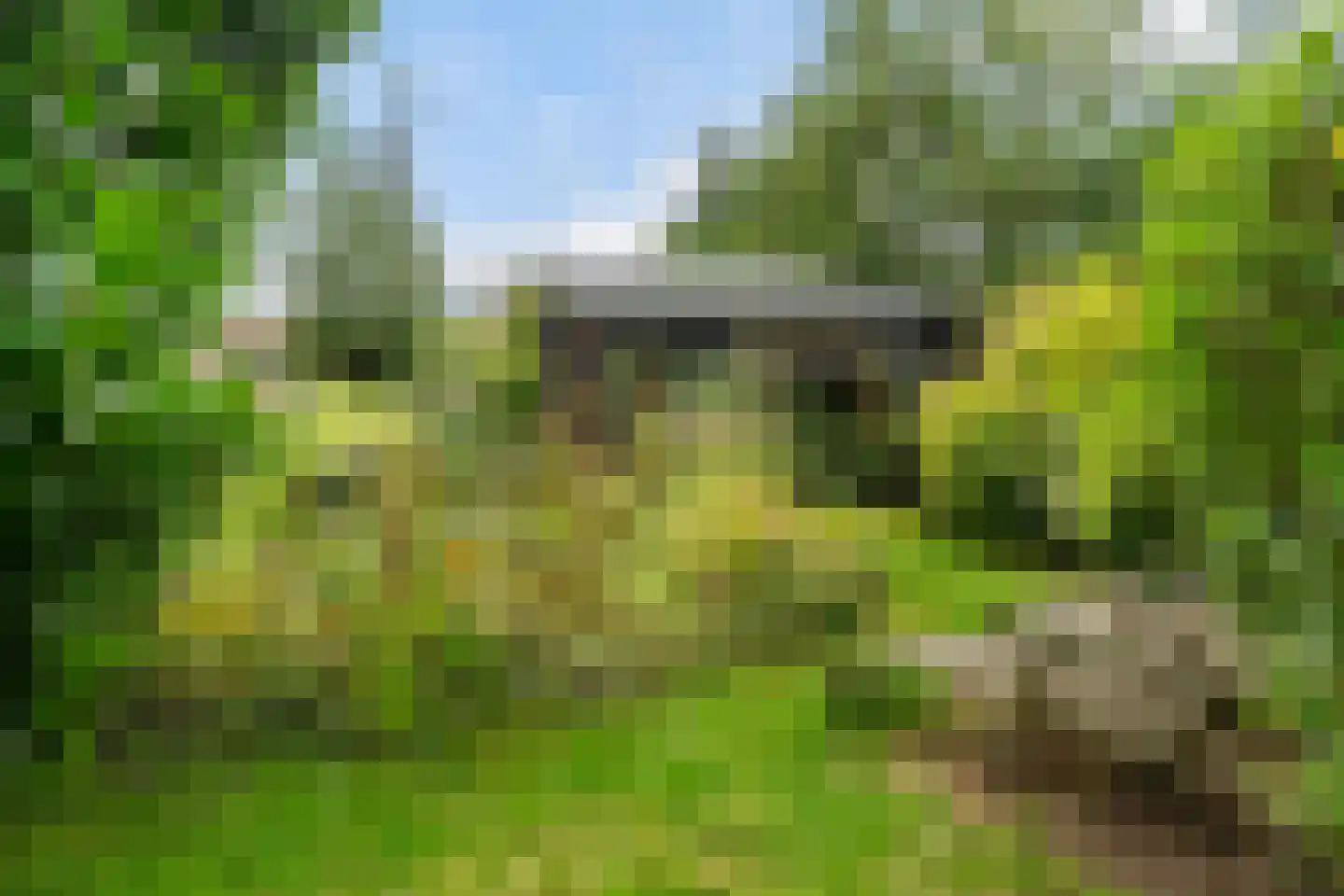 Heerenweg 52 Sumar thumbnail 65