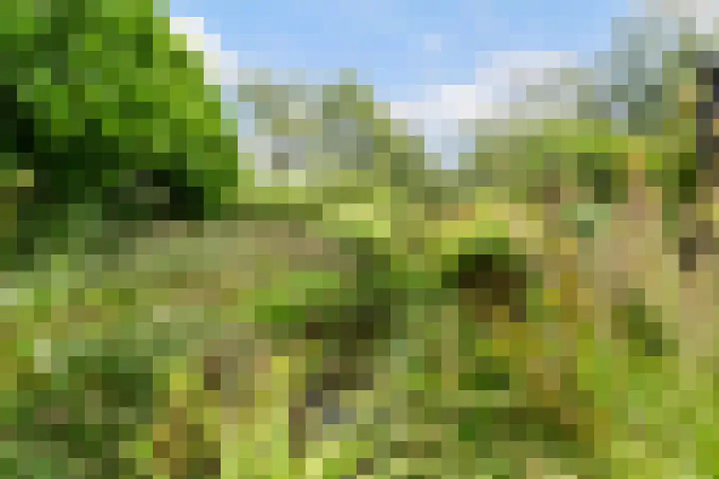 Heerenweg 52 Sumar thumbnail 66