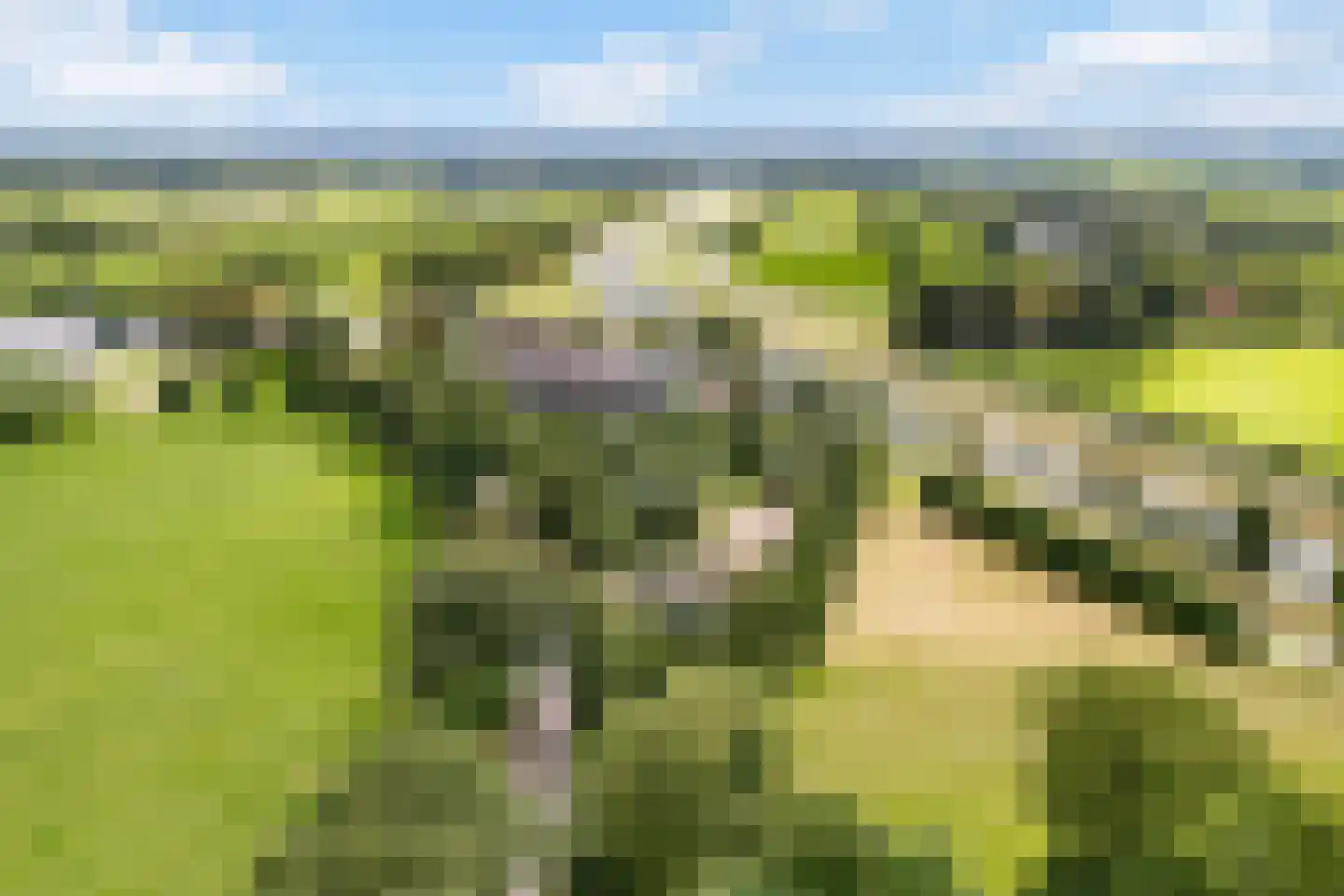 Heerenweg 52 Sumar thumbnail 69