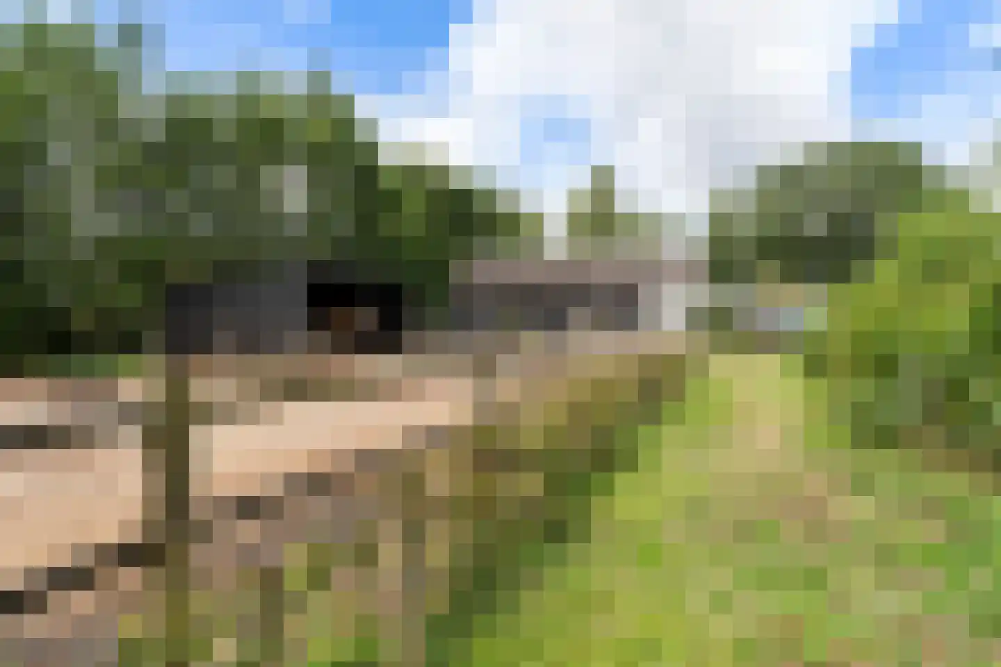 Heerenweg 52 Sumar thumbnail 7