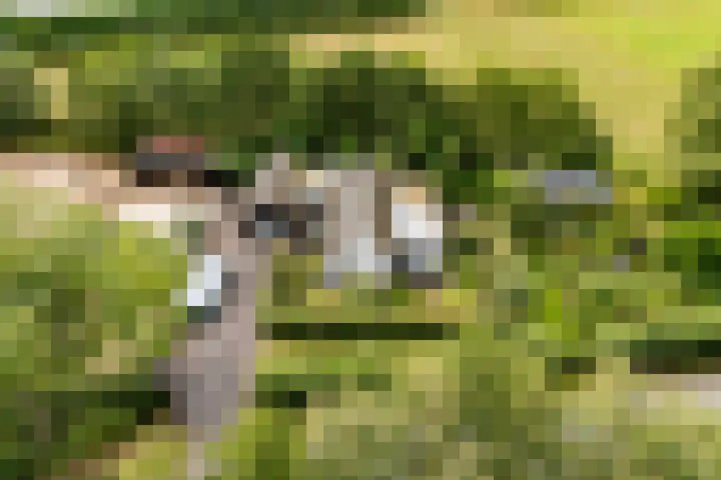 Heerenweg 52 Sumar thumbnail 9