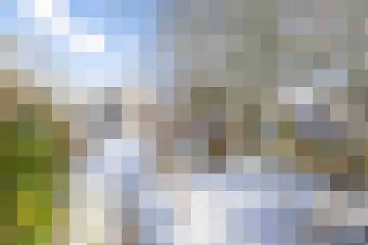 Heerenweg 57 01 Barsingerhorn thumbnail 24