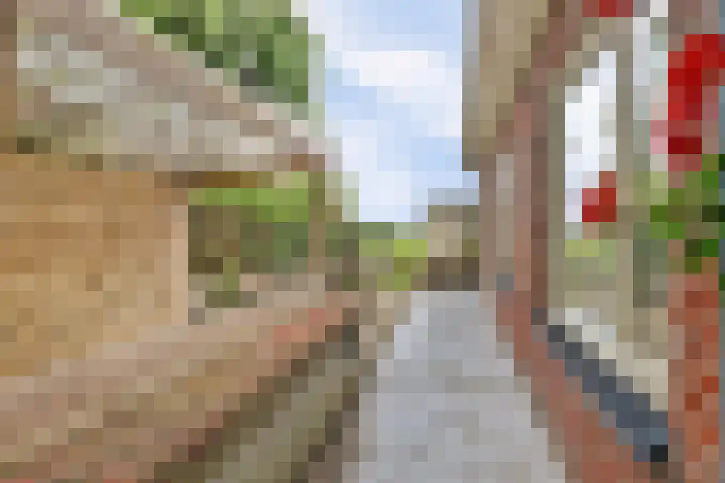 Heerenweg 57 04 Barsingerhorn thumbnail 24