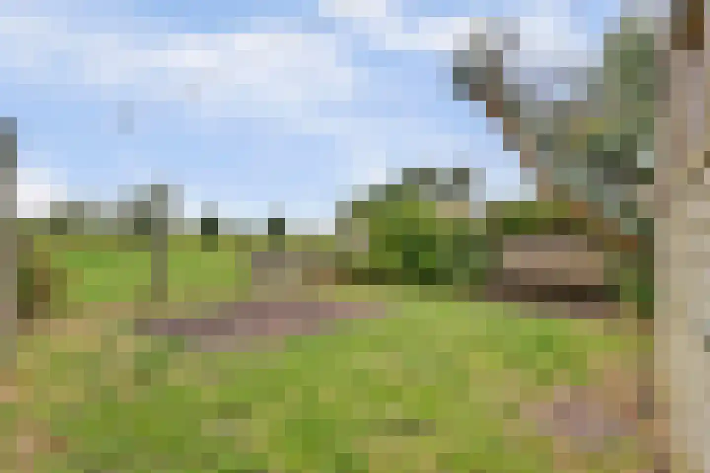 Heerenweg 57 04 Barsingerhorn thumbnail 26
