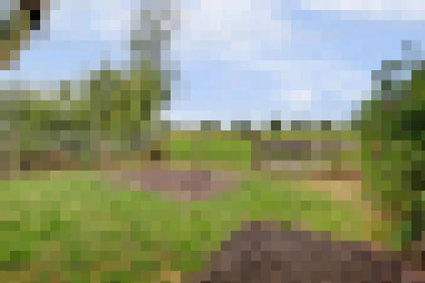Heerenweg 57 04 Barsingerhorn thumbnail 30