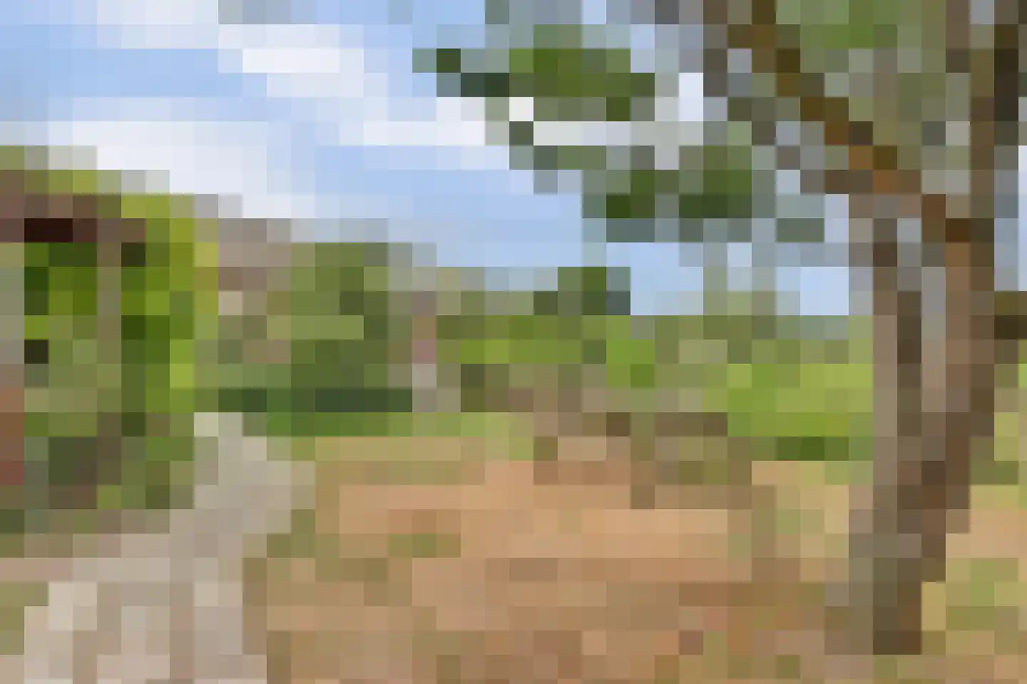 Heerenweg 57 04 Barsingerhorn thumbnail 32
