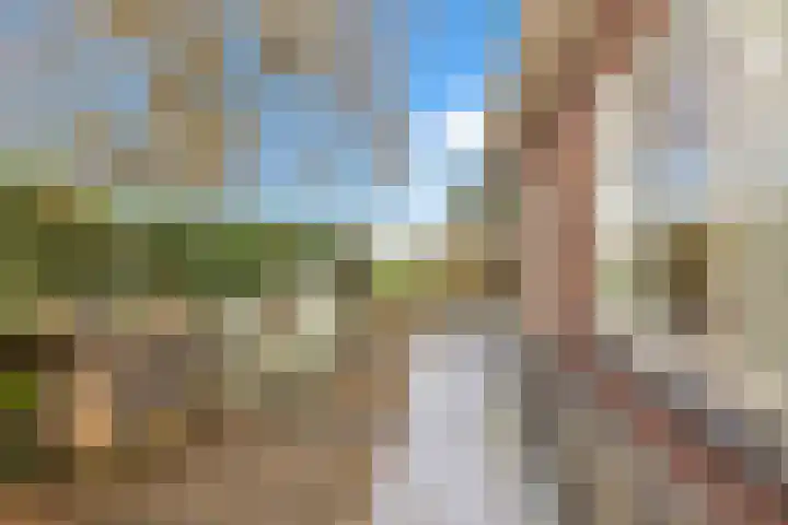 Heerenweg 57 04 Barsingerhorn thumbnail 32