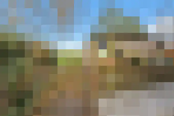 Heerenweg 57 04 Barsingerhorn thumbnail 35