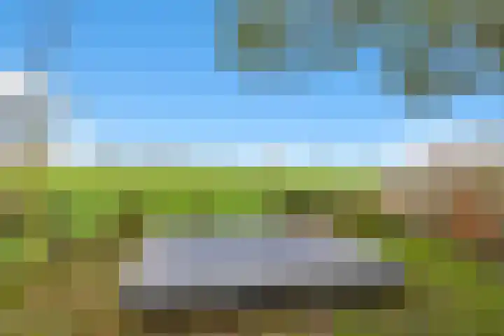 Heerenweg 57 04 Barsingerhorn thumbnail 38