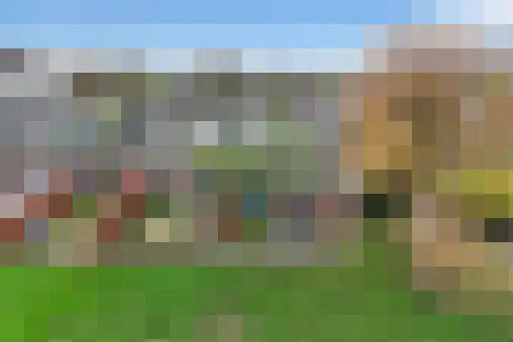 Heerenweg 57 04 Barsingerhorn thumbnail 4