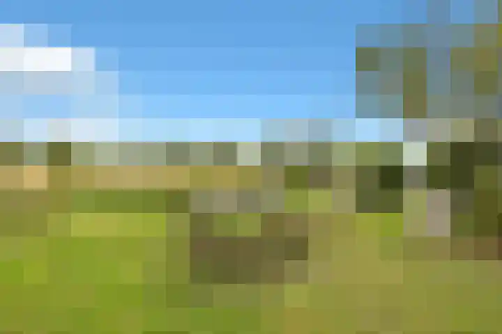 Heerenweg 57 10 Barsingerhorn thumbnail 42