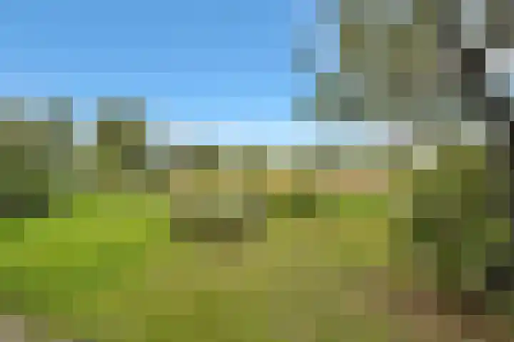 Heerenweg 57 10 Barsingerhorn thumbnail 43