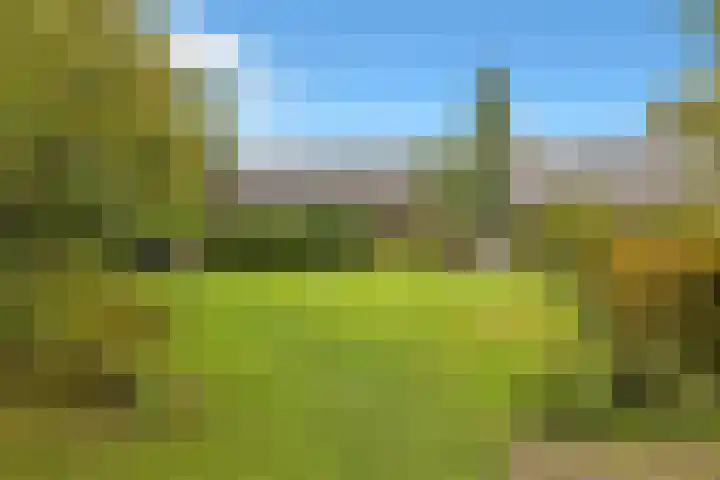 Heerenweg 57 10 Barsingerhorn thumbnail 44