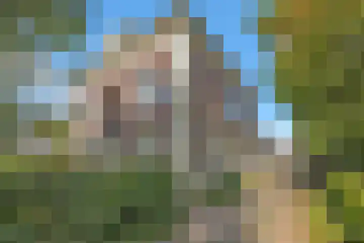Heerenweg 57 10 Barsingerhorn thumbnail 6