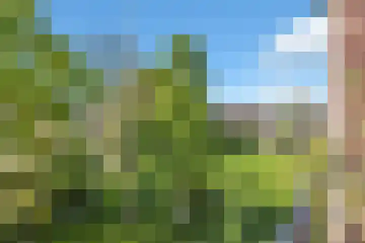 Heerenweg 57 12 Barsingerhorn thumbnail 16